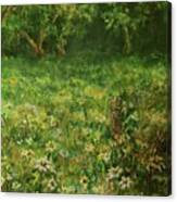 Summer Meadow Canvas Print