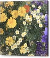 Summertime Garden Canvas Print