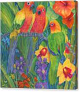 Sun Conure Parrots Canvas Print