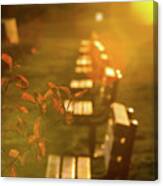 Sun Drenched Bench Canvas Print