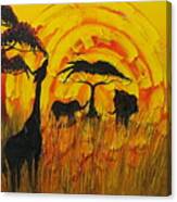 Sun Of Africa 8 Canvas Print