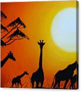 Sun Of The Giraffe 12 Canvas Print