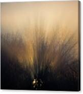 Sun Rays In The Fog Canvas Print