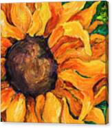 Sunflower #5 Canvas Print