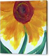 Sunflower 89 Canvas Print