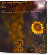 Sunflower Moments Canvas Print