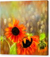 Sunflower Rain Canvas Print