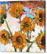 Sunflowers #10 Canvas Print