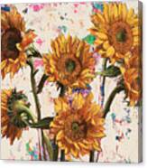 Sunflowers #9 Canvas Print