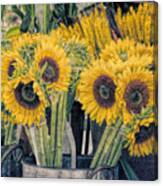 Sunflowers For Sale Canvas Print