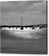 Sunlight On The Bay Canvas Print