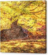 Sunny Afternoon On Autumn Hill Canvas Print