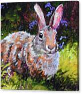 Sunny Bunny #2 Canvas Print