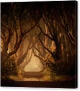 Sunny Morning In Dark Hedges Canvas Print