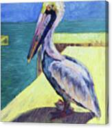 Sunny Pelican Canvas Print