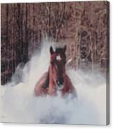 Sunny Running For The Barn. Canvas Print