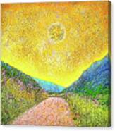 Sunny Trail - Marin California Canvas Print