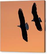 Sunrise Eagles Canvas Print