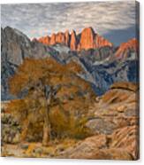 Sunrise On Mount Whitney - Sierra Nevada, California Canvas Print