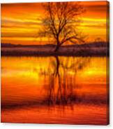 Sunrise Tree Canvas Print