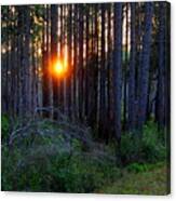 Sunset Along The Florida Trail - St.marks Canvas Print