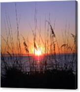 Sunset And Seaoats Canvas Print