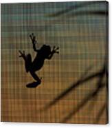 Sunset Baby Frog Canvas Print