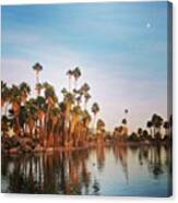 #sunset Glow Over The Palm Trees And Canvas Print