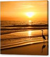 Sunset Gold Canvas Print