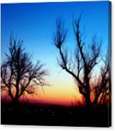 Sunset In January Iv Canvas Print