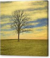 Sunset Landscape Canvas Print