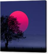 Sunset Magenta Canvas Print