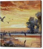 Sunset On The Marshes With Cranes Canvas Print