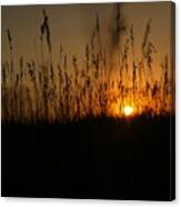 Sunset On The Plains Canvas Print