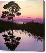 Sunset Reflection Canvas Print