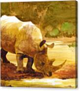 Sunset Rhino Canvas Print