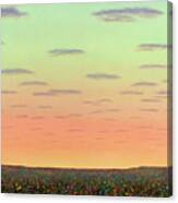Sunset With Wildflowers Canvas Print