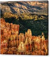 Sunsets In The Canyon Canvas Print
