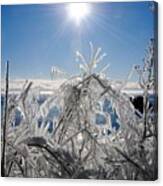 Sunshine And Ice Canvas Print