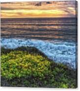 Surf And Turf Canvas Print