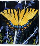 Swallowtail Butterfly Canvas Print