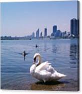 Swan And Cityscape Canvas Print