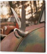 Swan Hood Ornament Canvas Print