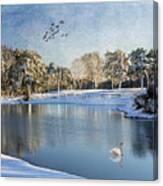 Swan Lake Canvas Print