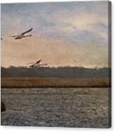 Swan Lake Canvas Print