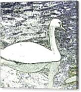 Swan Sketch Canvas Print