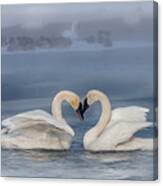 Swan Valentine - Blue Canvas Print