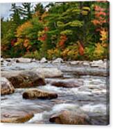 Swift River Runs Through Fall Colors Canvas Print