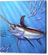 Swordfish In Freedom Canvas Print