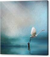 Taking Flight Canvas Print